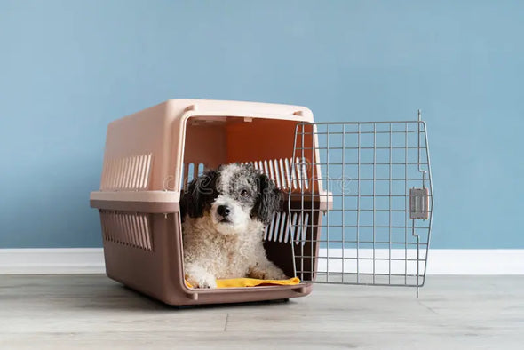 Pet Carriers